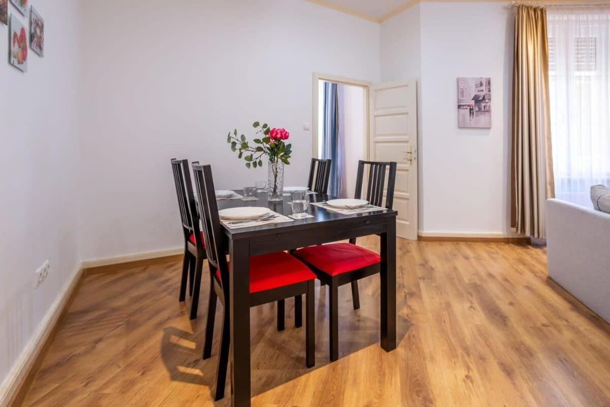 Apartment Ultra New Large And Quiet